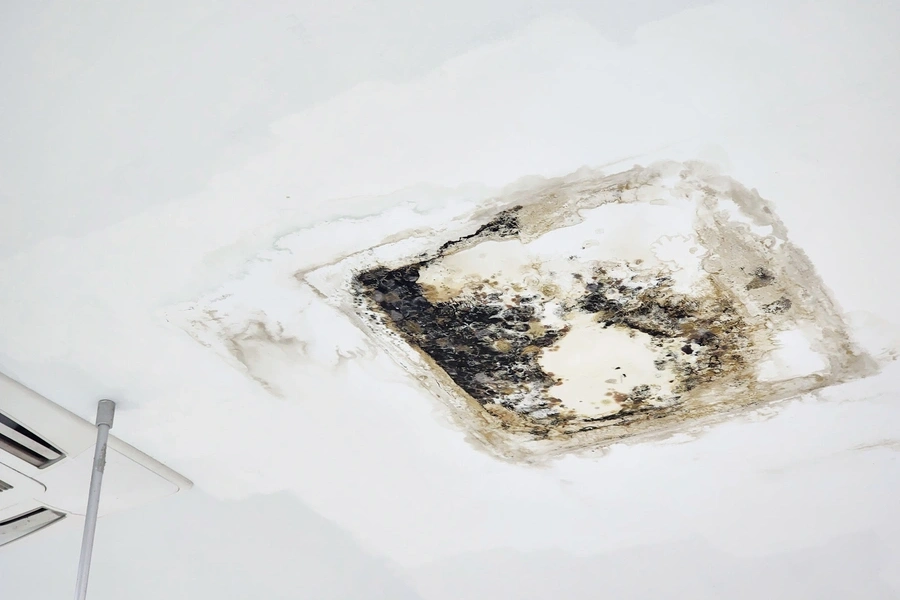 Roof Leak Repair For Protecting Structural Components Beaverton, OR